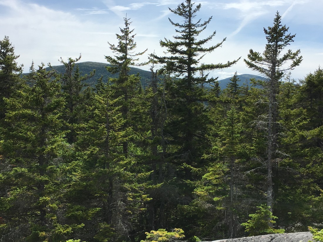 1B1E68EE-D869-45F5-99B0-0A8E791D0AEF