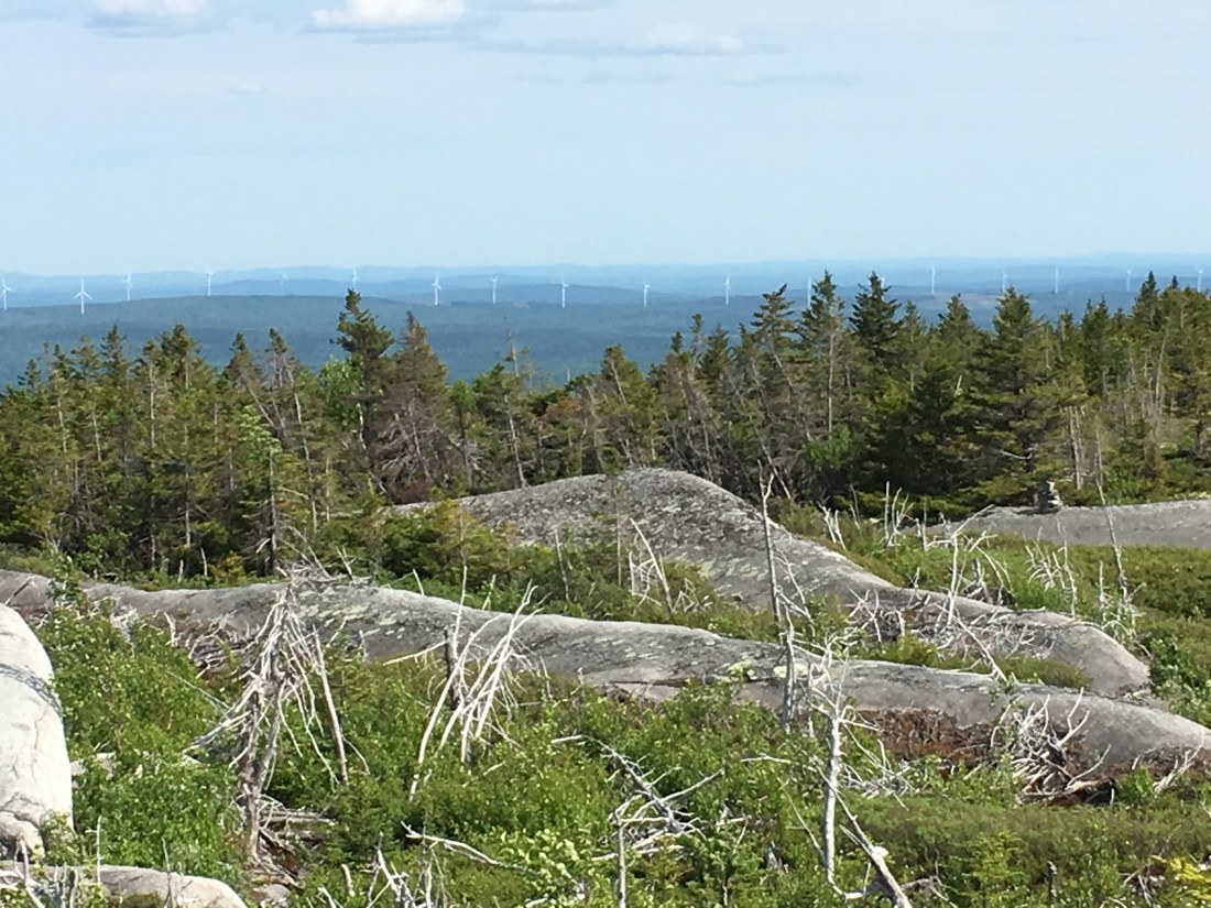 1FC9540D-04BC-4FDD-B9E3-3311C7D3B145