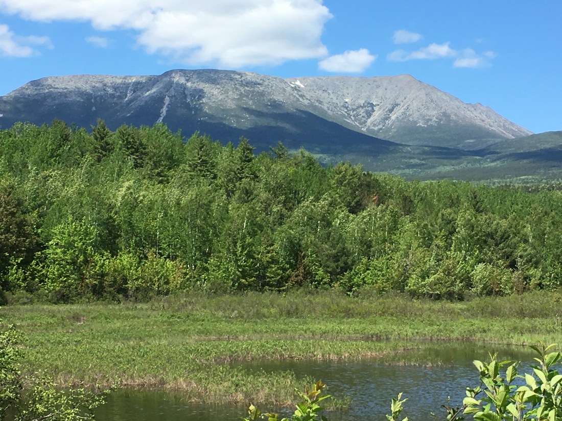 2A58FD39-2A32-494E-AE22-FA4FE0376B8E