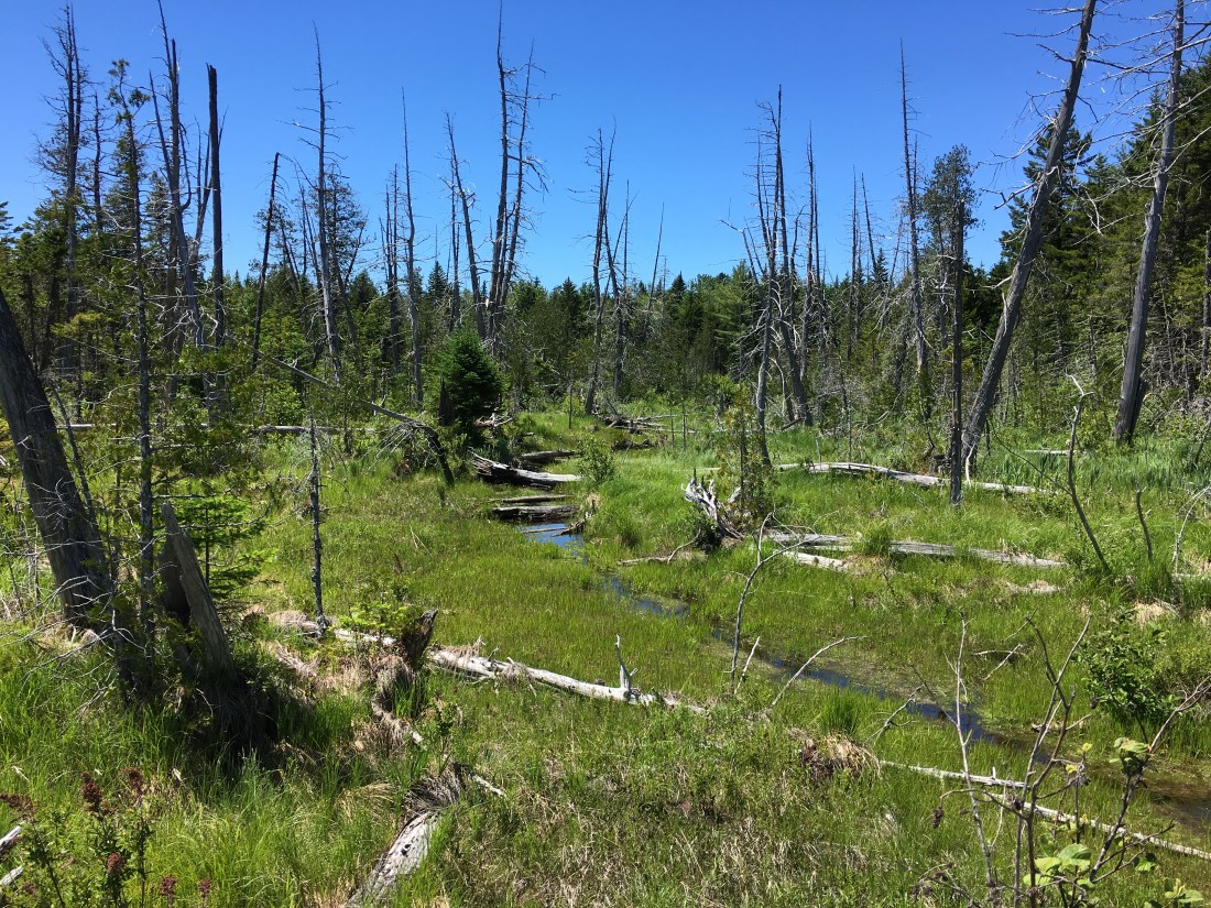 34AF8C75-3611-497B-A65F-5E4B37704B42