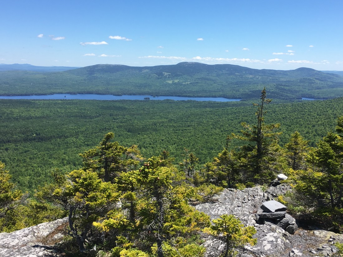 366C4B45-3C4C-499B-9761-EA2374B64B9A