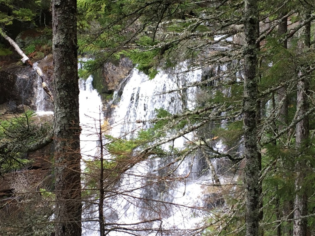 3B66FCB7-2BE8-4140-860C-D2CAD757367B