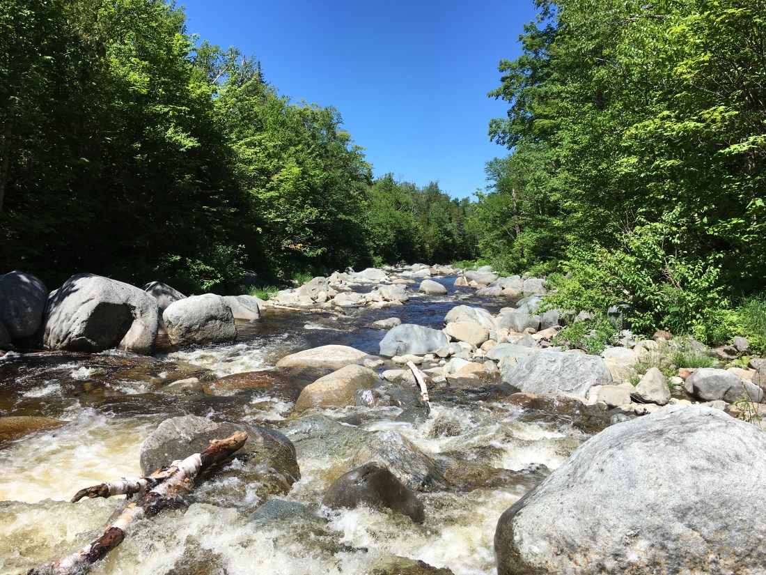 43144BF7-4E11-42BF-B51B-A6959FD0CCEC