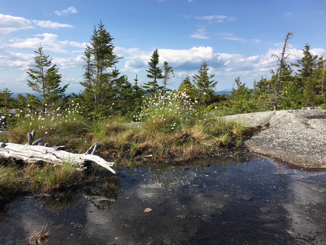 4ACCE6BB-665E-4026-97E8-462F815A9D53