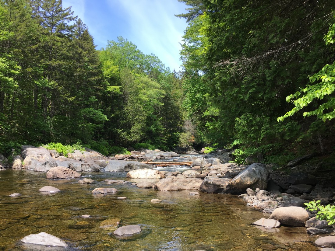 52881303-D957-4E73-BCFD-446EA482B937