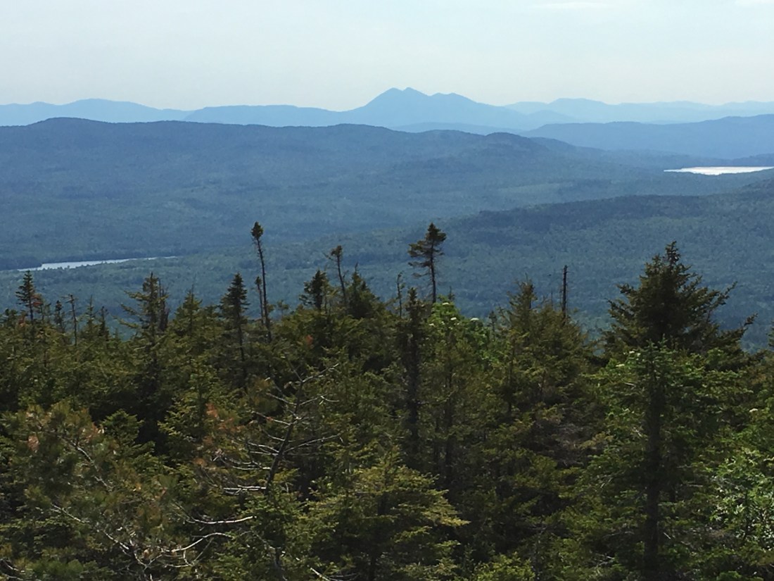 540B9914-BA76-41DC-9CB8-D6FCDC19DEAA