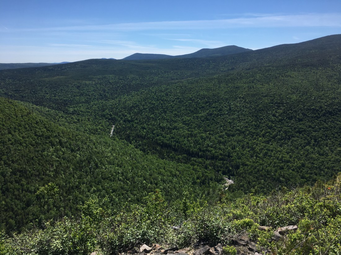 596331ED-C40A-4EE4-A012-EBB1E0FA1D30