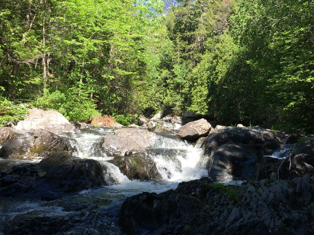 5C875AED-C1B3-4419-B72A-8A2F769DFEED