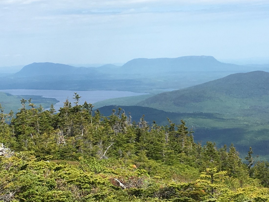 6395E368-D6CD-4827-AF44-43B4D396A2CB