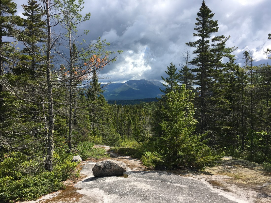 6862CFE8-5855-45C5-BA18-5E06DE537F3C