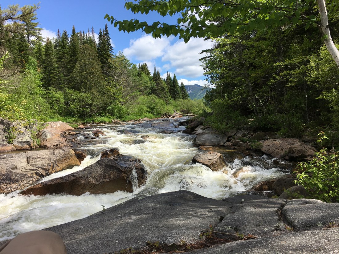 7297C562-4A5E-4FC2-87C7-4EB33B4FD5A6