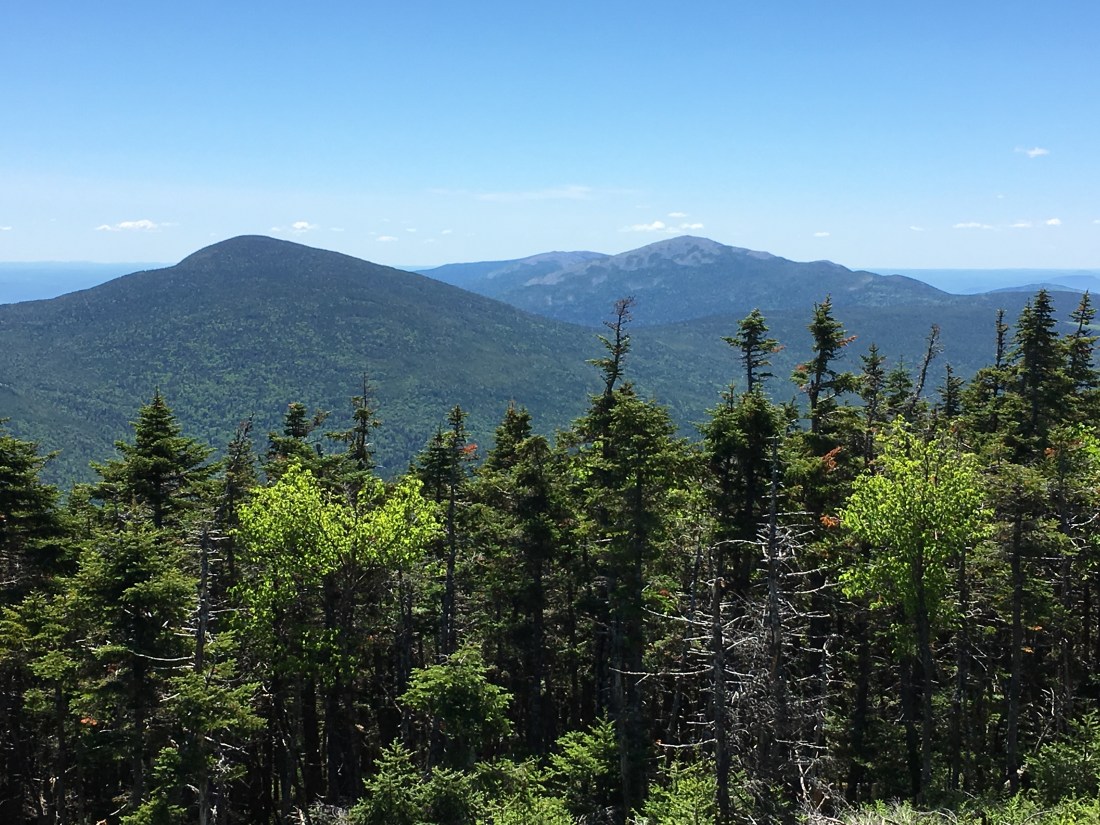 87BA0EA2-7F99-4DF2-9B2E-84E282BE65ED