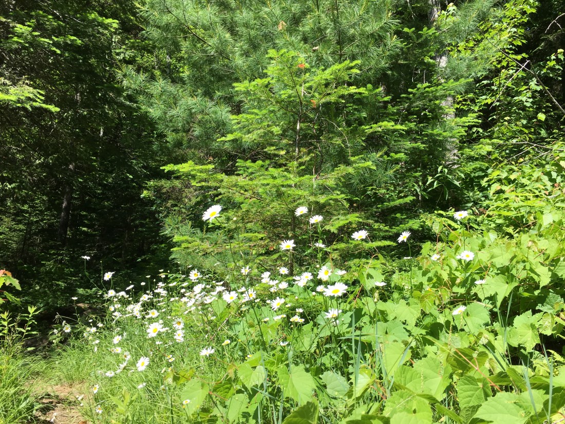 8E9A38A8-9339-44FF-BE39-C4D711FB44AF