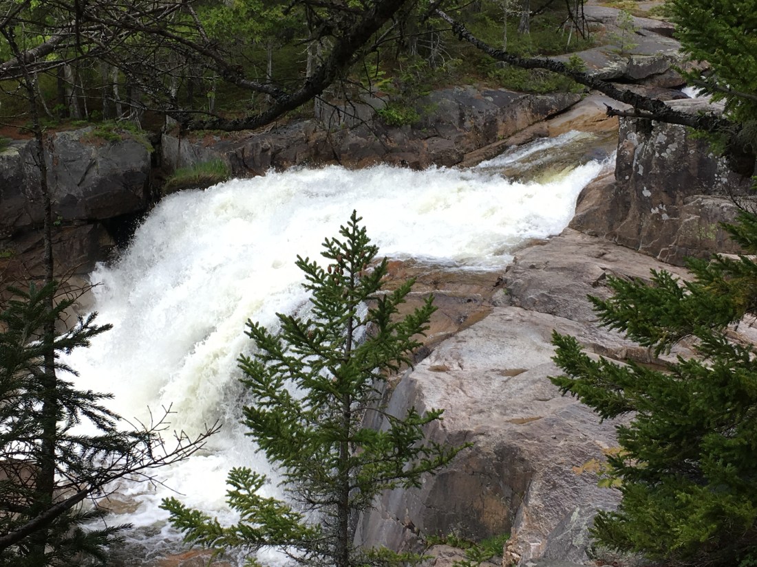 91F2DF9B-675E-42D0-B0E0-8E13FC4245AA