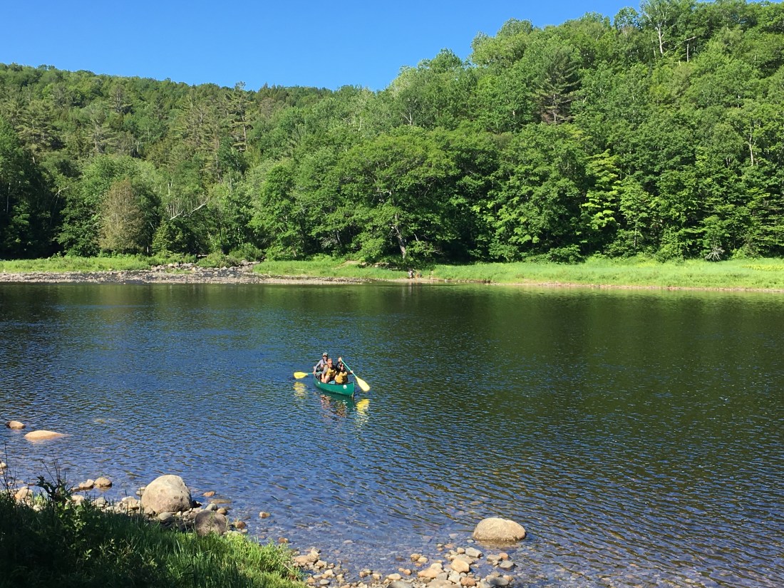 A250FD05-E3DA-4CF3-816E-12ACE7849B59