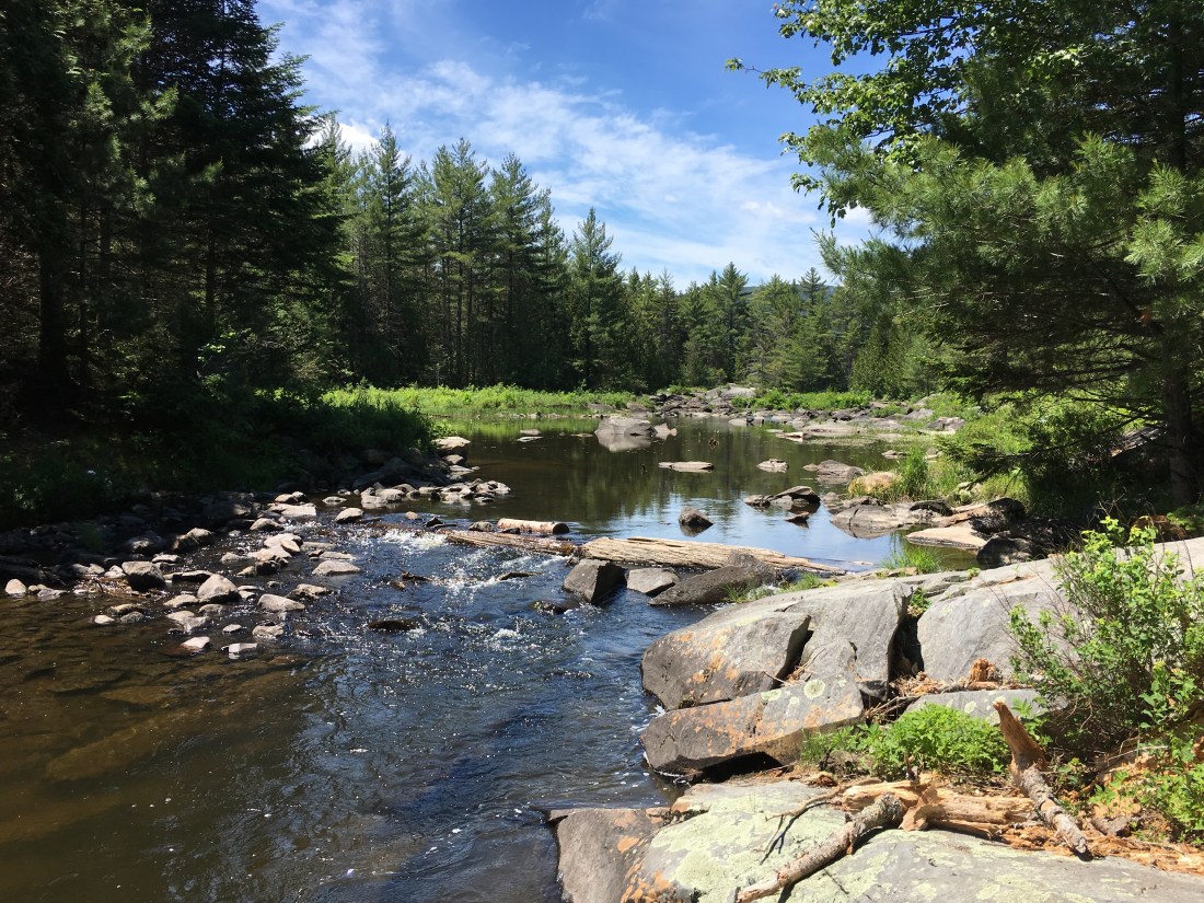 A3F46BDF-AE04-4E79-9F34-98860A511E02