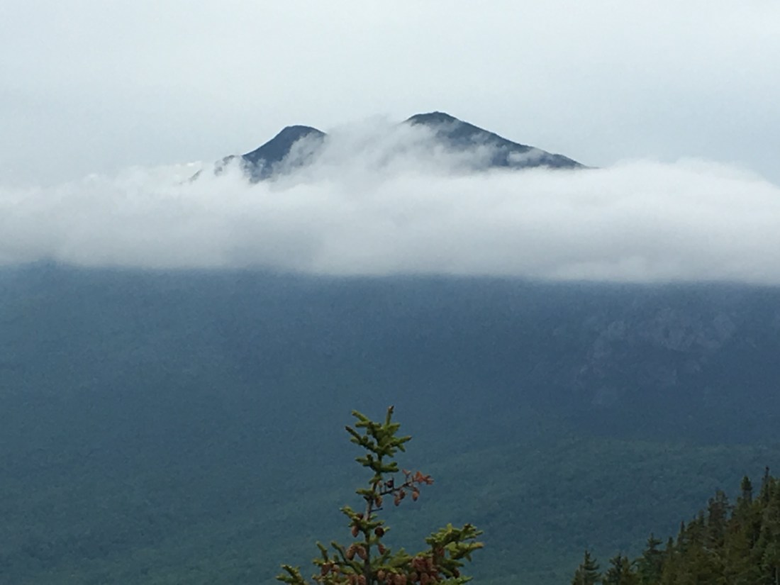 AD788B0B-0BCC-4BB9-A9A2-9C09CDFE41F2