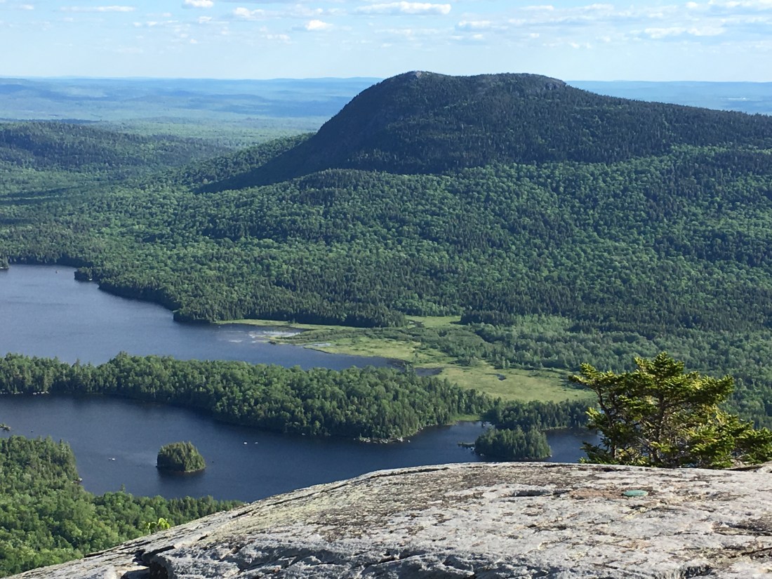 B5C4B6B5-E536-4D1C-86F8-832541EDD1A4