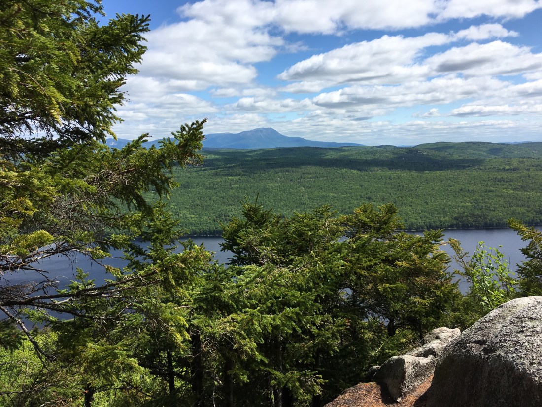 B8B265F7-8700-4E66-BD1B-91458CB8795B