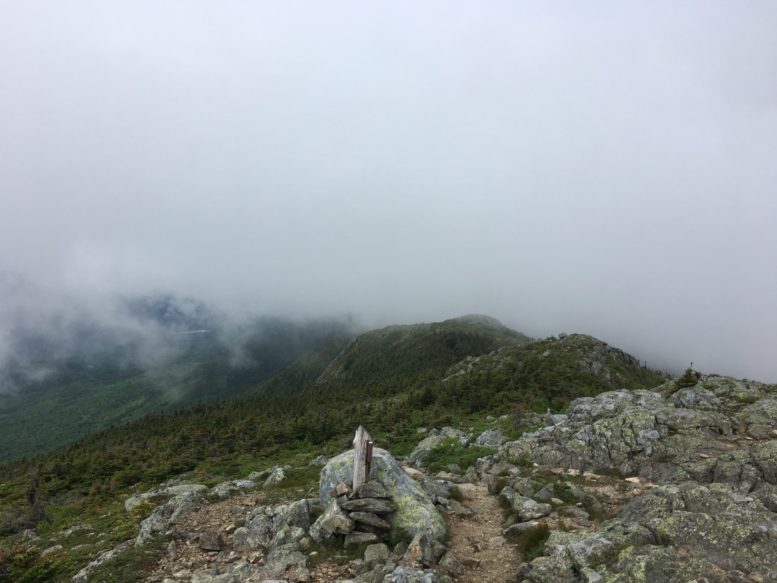 C44026FA-15E2-49FC-81CF-7CC87FBC7B02