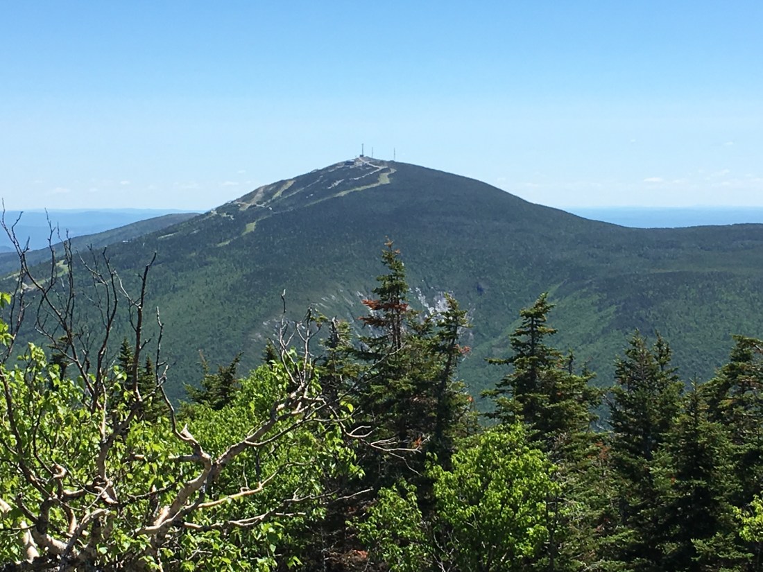 C470A19F-4F87-4AE1-8B4F-79595833F9FC