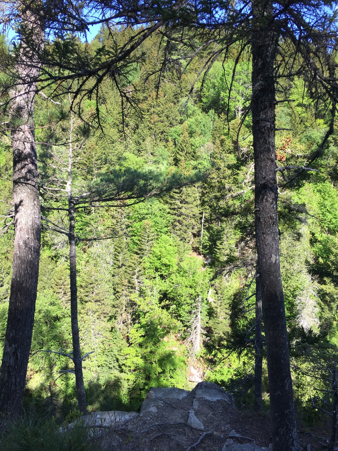 CA31F916-898F-409E-BCF4-4DBA5DC10999