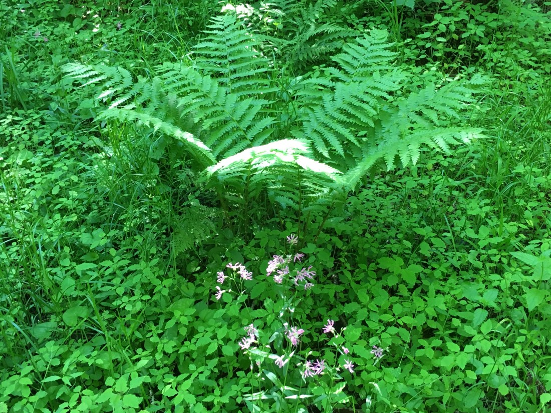 D616175E-D3DA-4A7D-9637-195DE52BD441