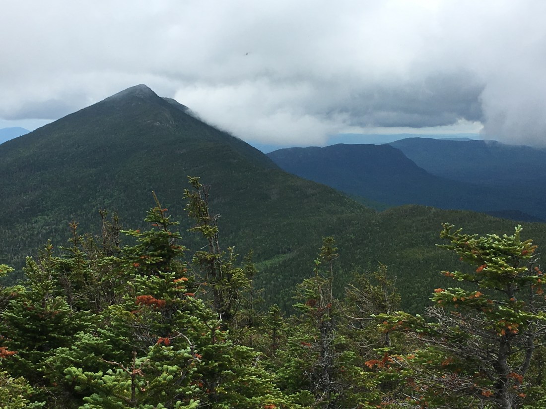 DB290EE4-12F5-4B20-9F67-23AFB4642013