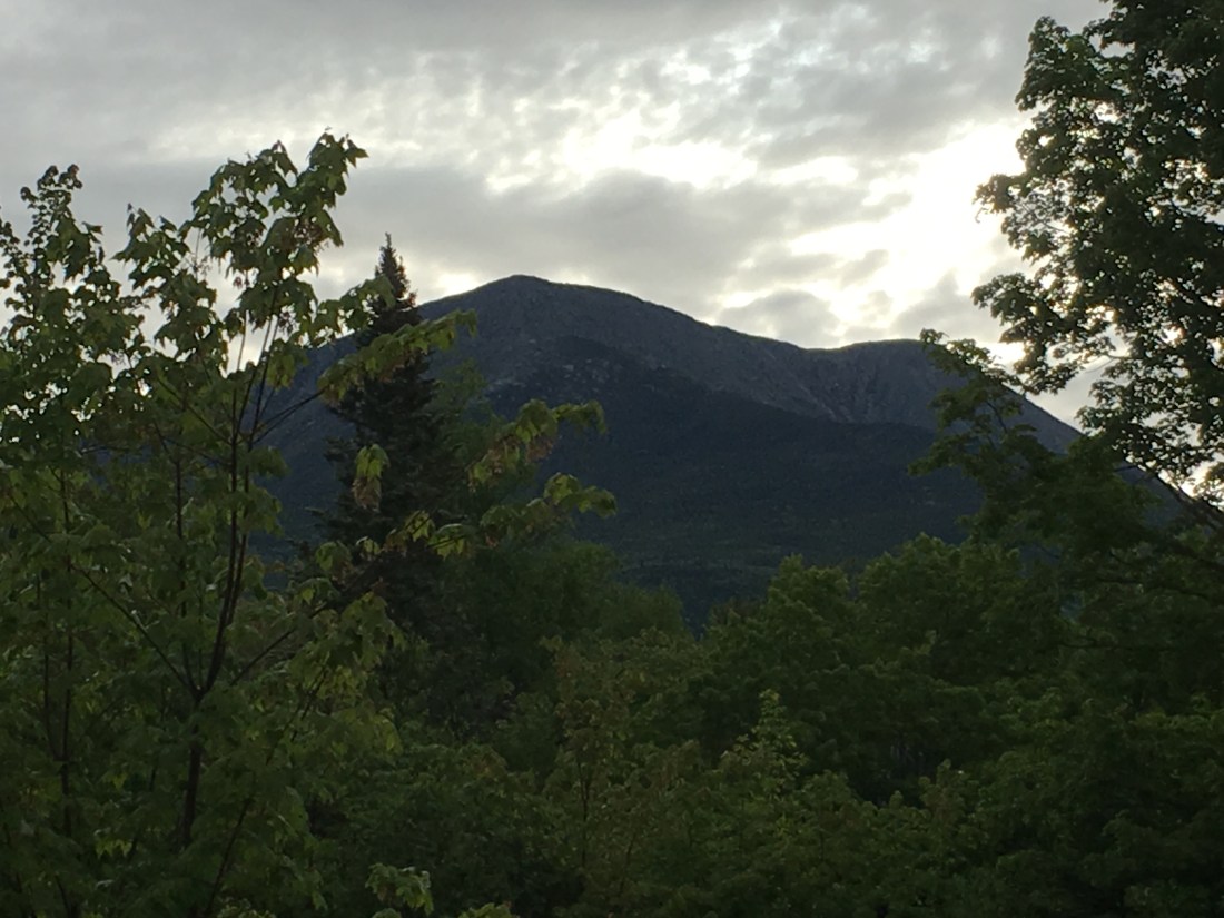 E23DBFBA-F2D1-4633-B005-0C5B78C59B47