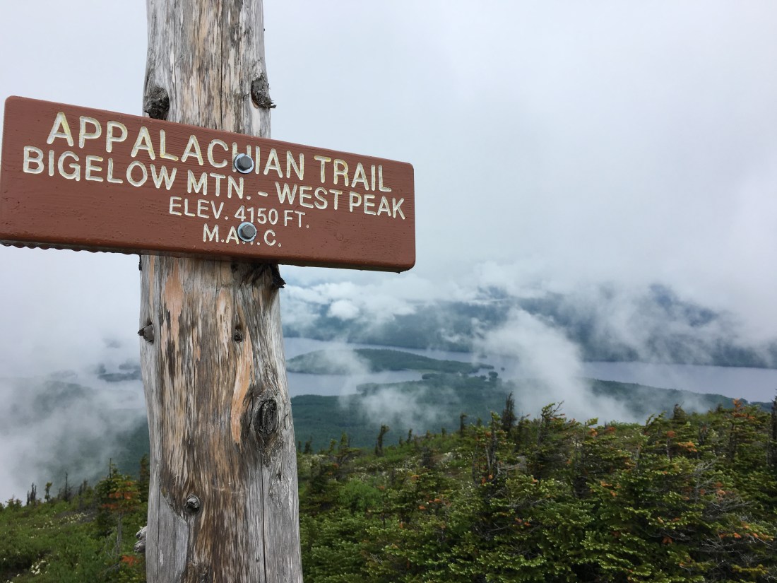 E808FA3E-D24A-4357-8DD9-7E3AAB05F555