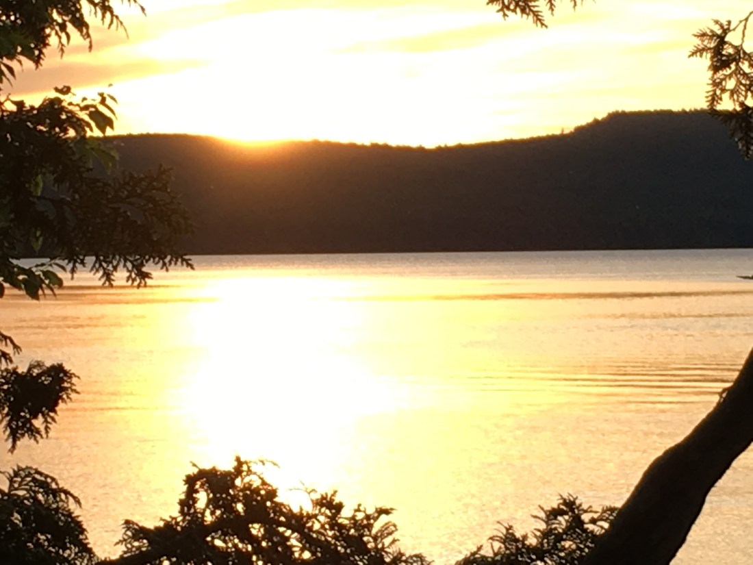 F630835E-97F2-4166-8CBC-3B881E2BB254