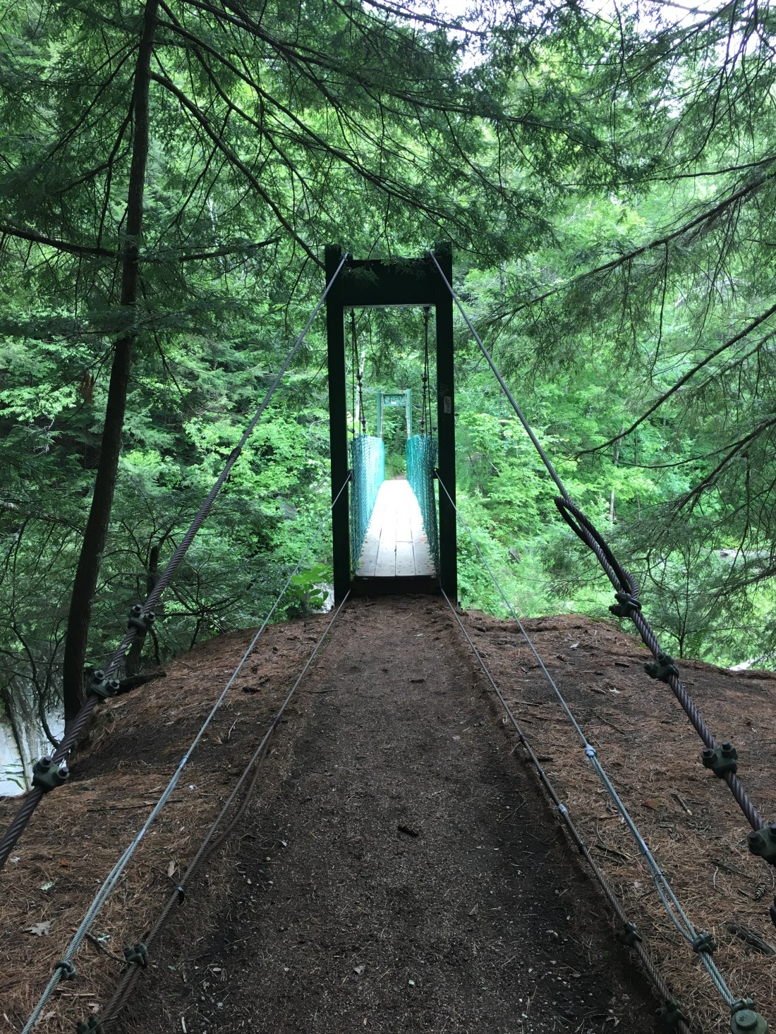 0ED0CF52-A90B-4E39-93CA-7A3630C938C2