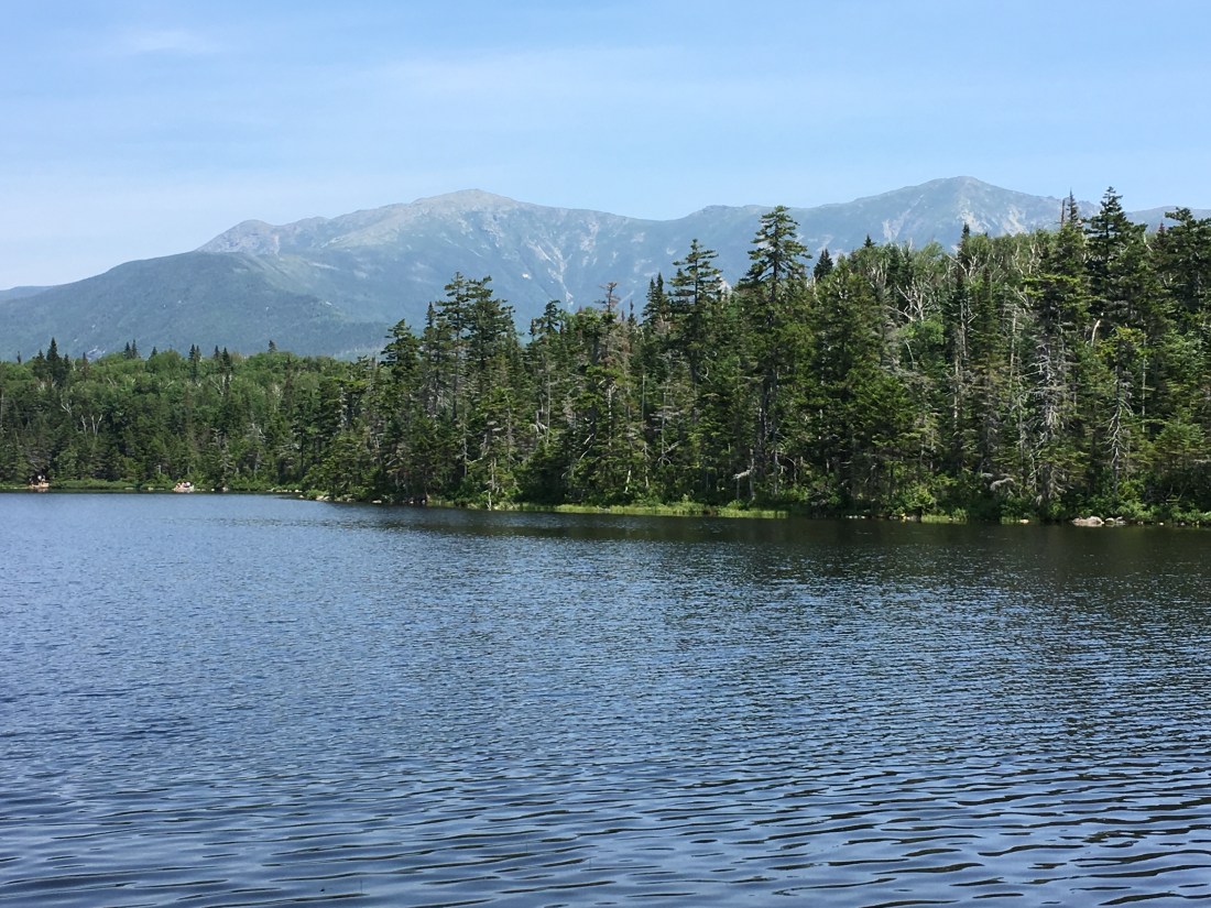 1DF56EF2-24C5-4AD6-BADB-569BC1D1FFC4