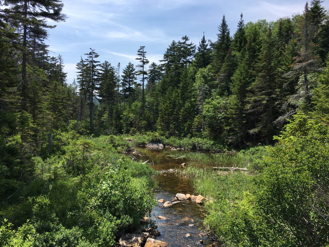 226C8459-A2AD-4CE0-B23A-1C87826652F7