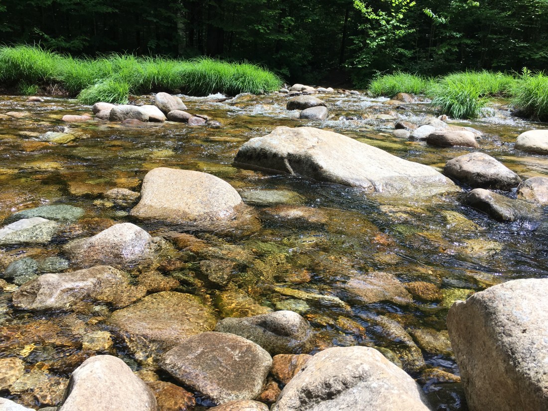 25C5B2A1-6E97-4EAB-9975-CC780366EF00