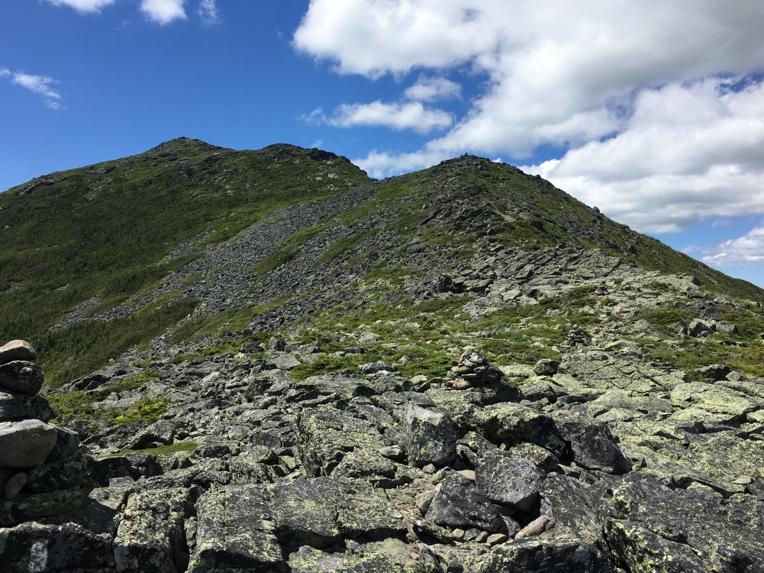 31413BE5-4EDF-43E8-BAC8-085A55F07C8B