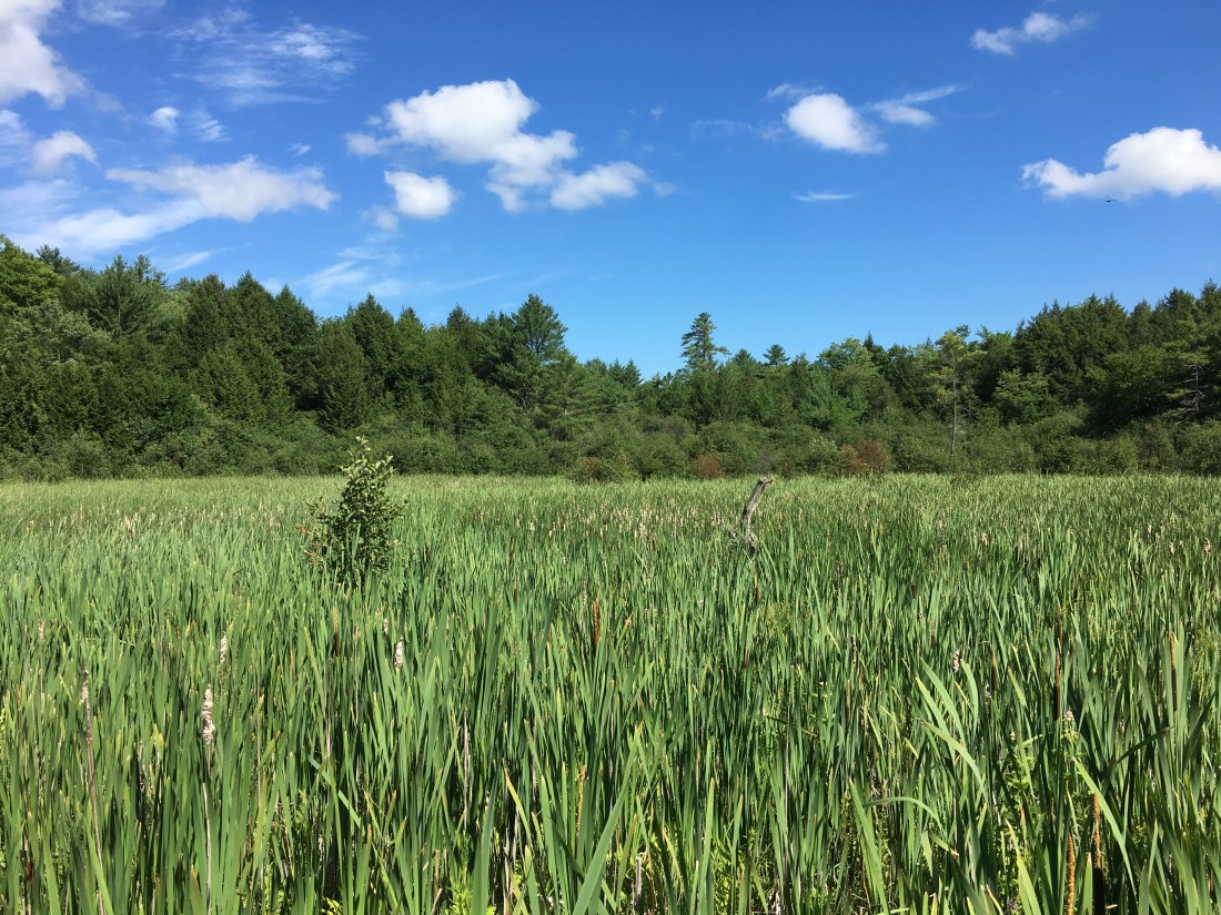 32086E84-32B9-46D7-8C78-FA934835165D