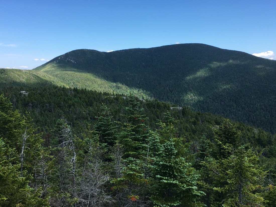 42AA8418-3995-43DA-A99A-9CCD0F19647C