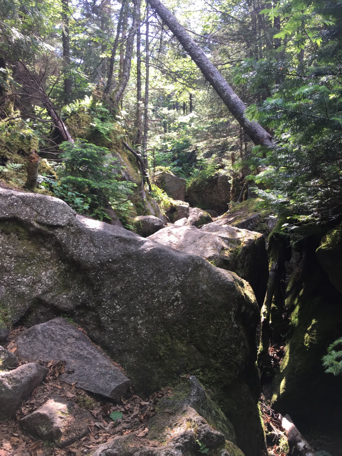 42CE7854-8BD0-49F8-99B5-872CB2701619