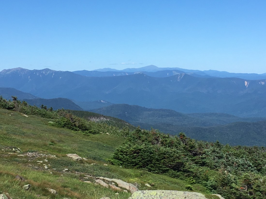 447CD4E4-8E0A-4AAA-A76F-15EBCFAE6ABE