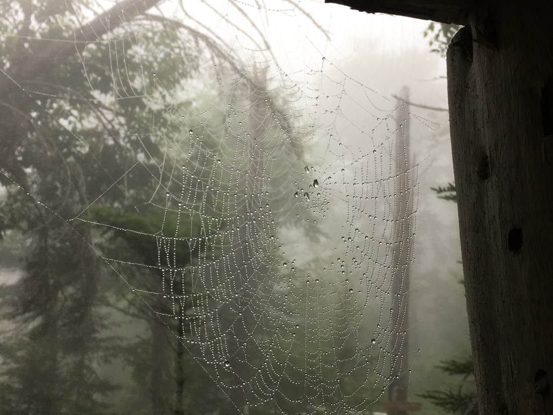 46B734EA-7ED0-4361-A3FC-FE5BC4368DBB