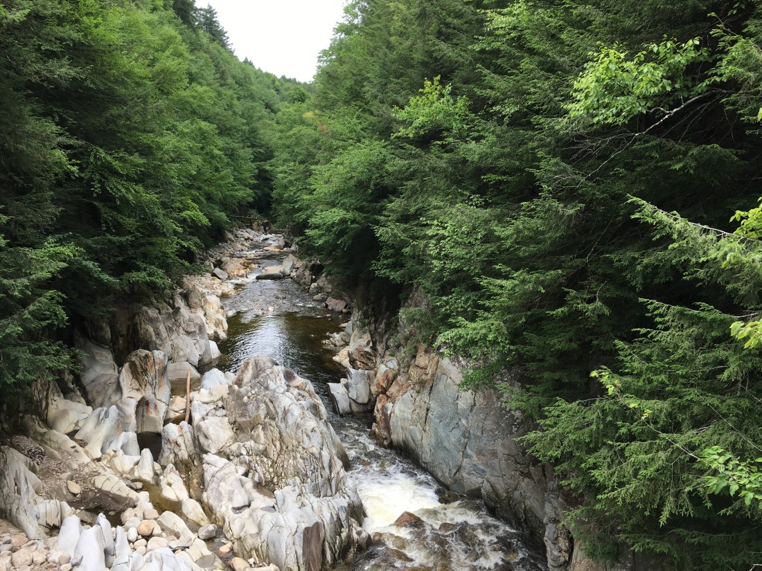 4B30F8E2-1268-4506-B41B-98045B1AC9C4