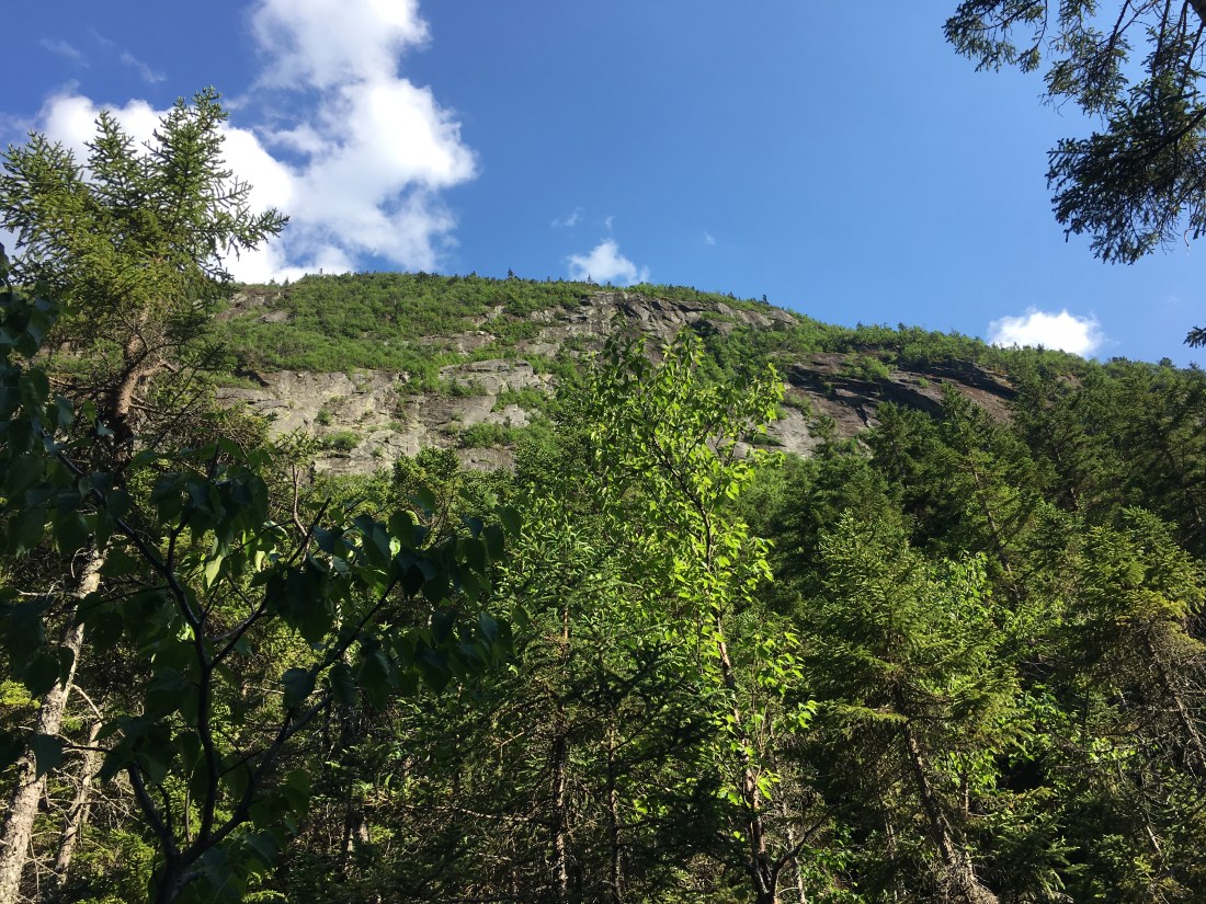 4FBEB358-6DA2-4CAE-96E5-D49EE0614509