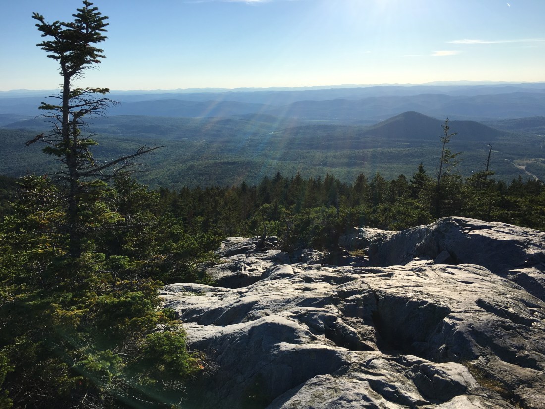 54623B37-37ED-40D5-B68B-BF52DAC53C49