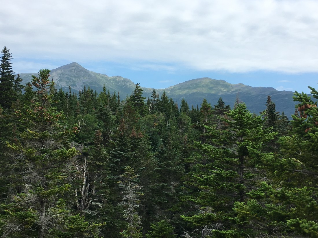 7CCD8CA1-2FC4-4A07-A822-1F3B3C89AA6A