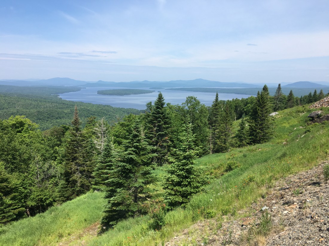 97B6B929-BC51-48E1-BE46-89DE8C0FC0DE