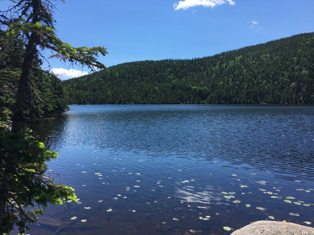 9A2CC4A0-731D-4F11-B3E3-DDB18C45D916