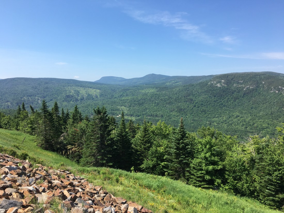 A3051A60-D71D-48BC-A6E8-75F5C05263F2