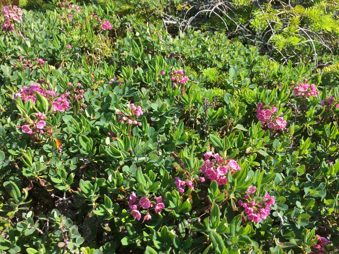 B51CACA1-8C87-45E3-807E-CD401D67BB75