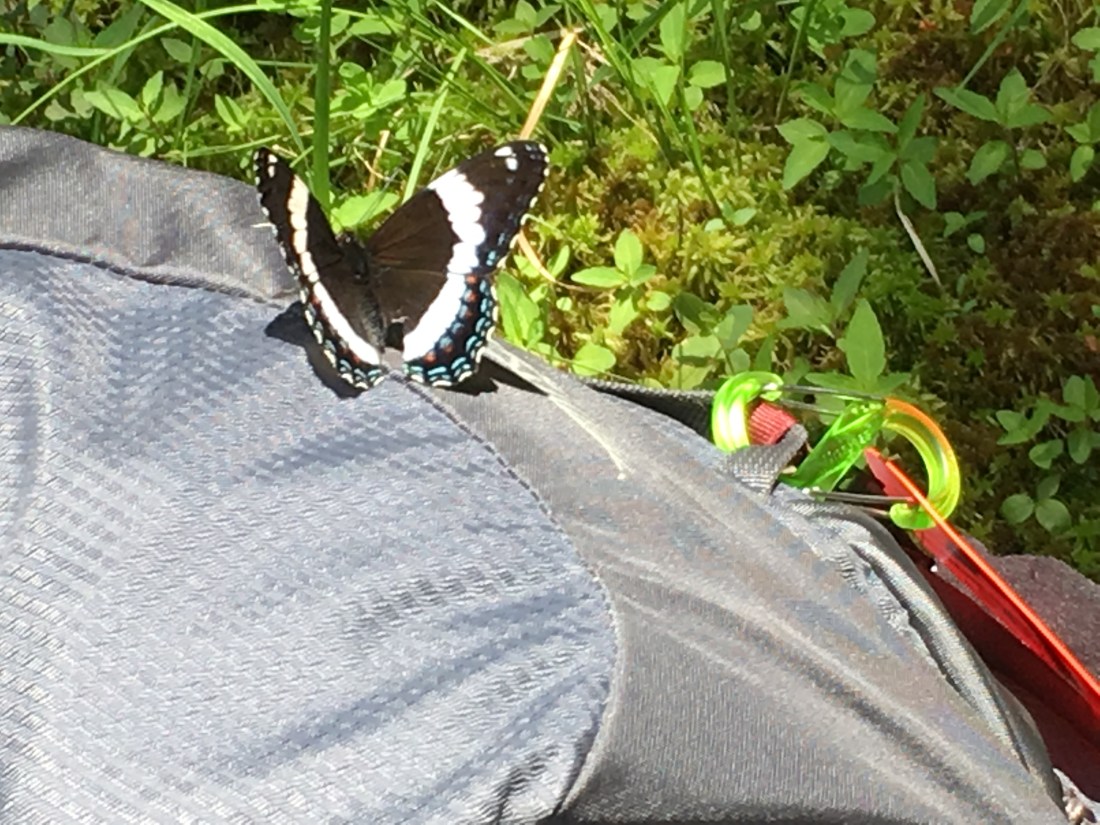 BB1AF4AE-0C04-4889-A695-E12742A61991